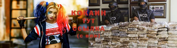 мдма Гусев