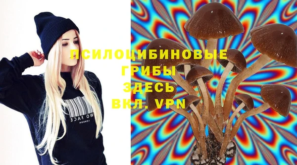 дурь Горняк