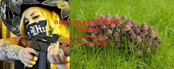 дурь Горняк